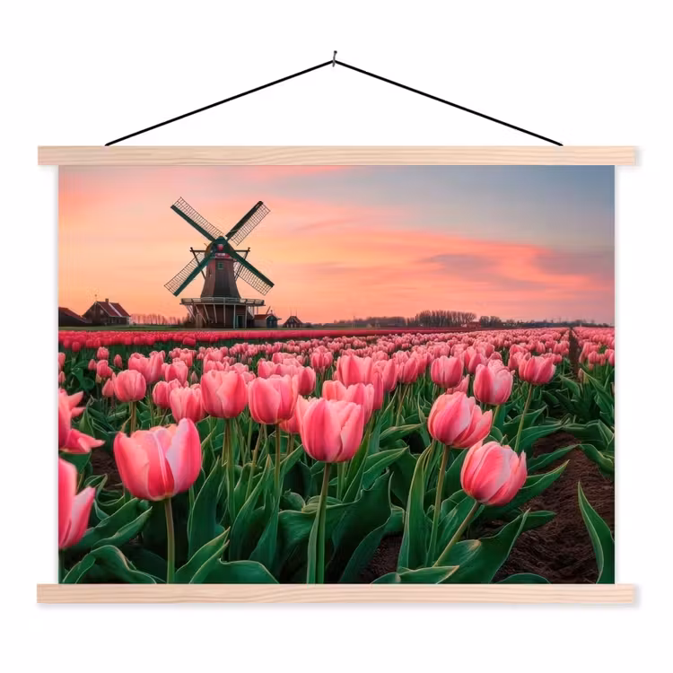 Schoolplaat - Tulpen - Molen - Nederland — 1
