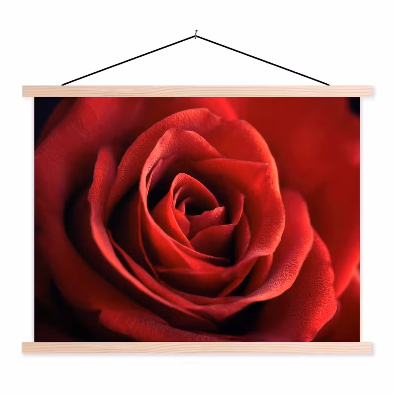 Schoolplaat - Rood - Roos - Romantisch — 1