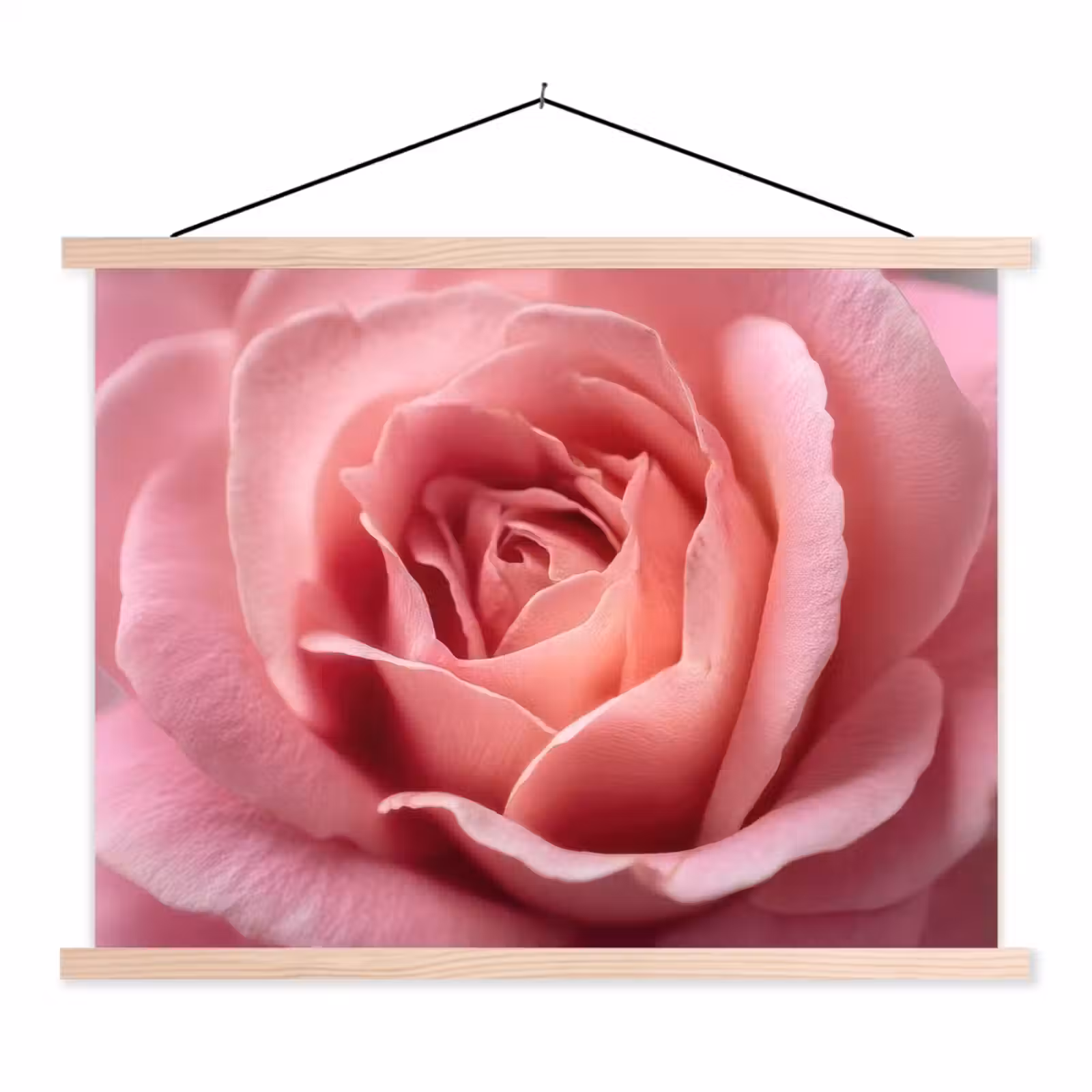 Schoolplaat - Roze - Roos - Romantisch — 1