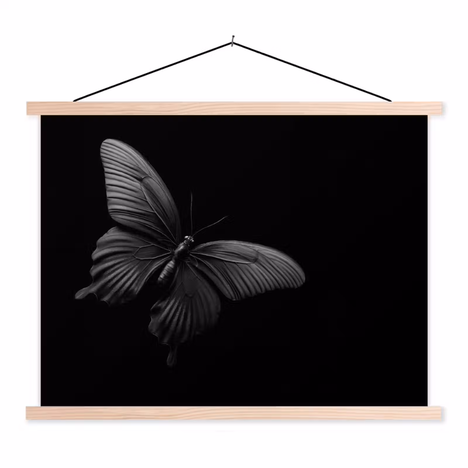 Schoolplaat - Vlinder - Zwart - Insect - Dieren — 1