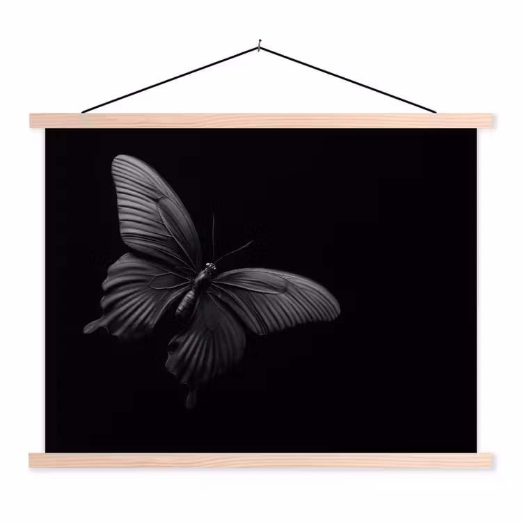 Schoolplaat - Vlinder - Zwart - Insect - Dieren — 1