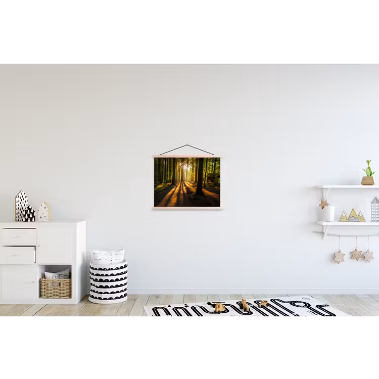 Schoolplaat - Zon - Bomen - Bos - Landschap - Natuur — 3