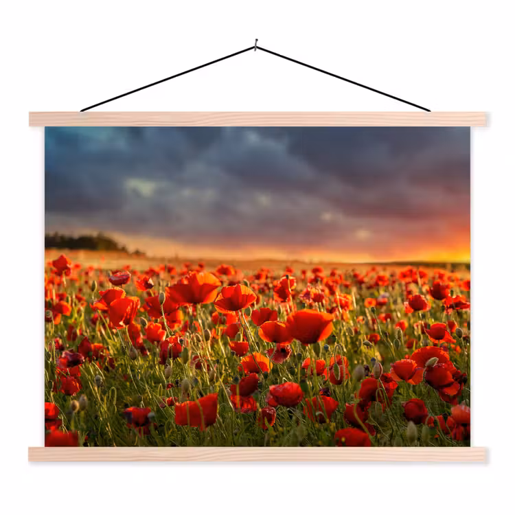 Schoolplaat - Zonsondergang - Klaprozen - Rood - Bloemen - Veld - Natuur — 1