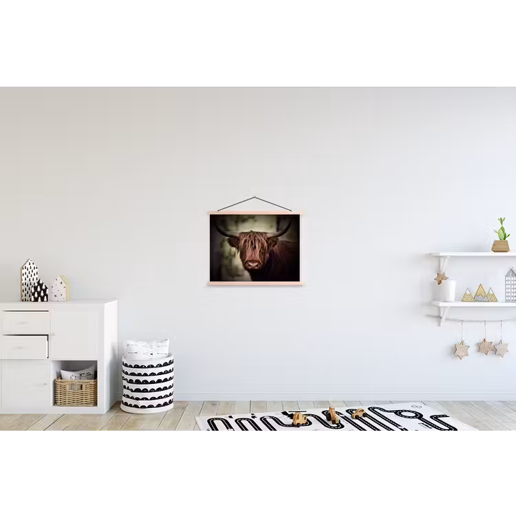 Schoolplaat - Schotse hooglander - Licht - Portret - Natuur — 3