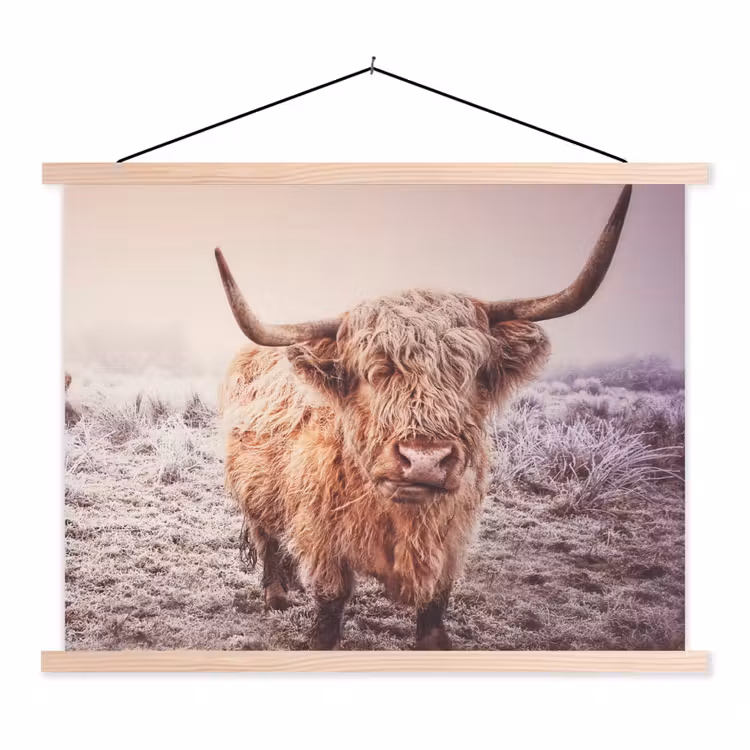 Schoolplaat - Schotse hooglanders - Licht - Lucht - Natuur — 1