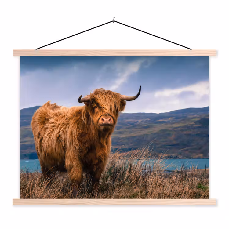 Schoolplaat - Schotse Hooglander - Berg - Water - Natuur - Koe — 1
