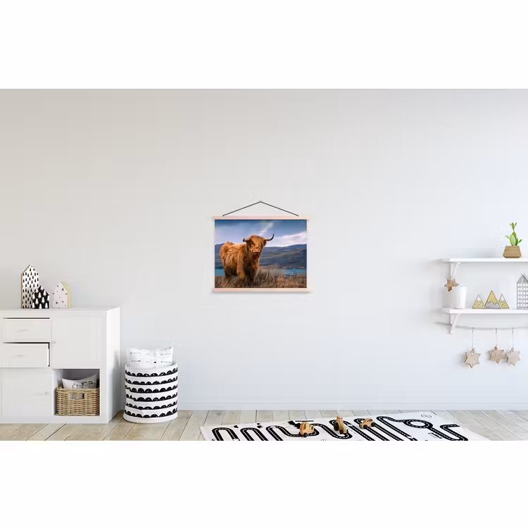 Schoolplaat - Schotse Hooglander - Berg - Water - Natuur - Koe — 3