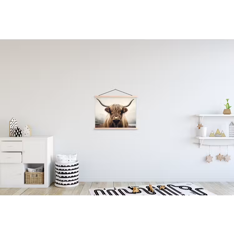 Schoolplaat - Schotse hooglander - Hoorns - Landschap — 3