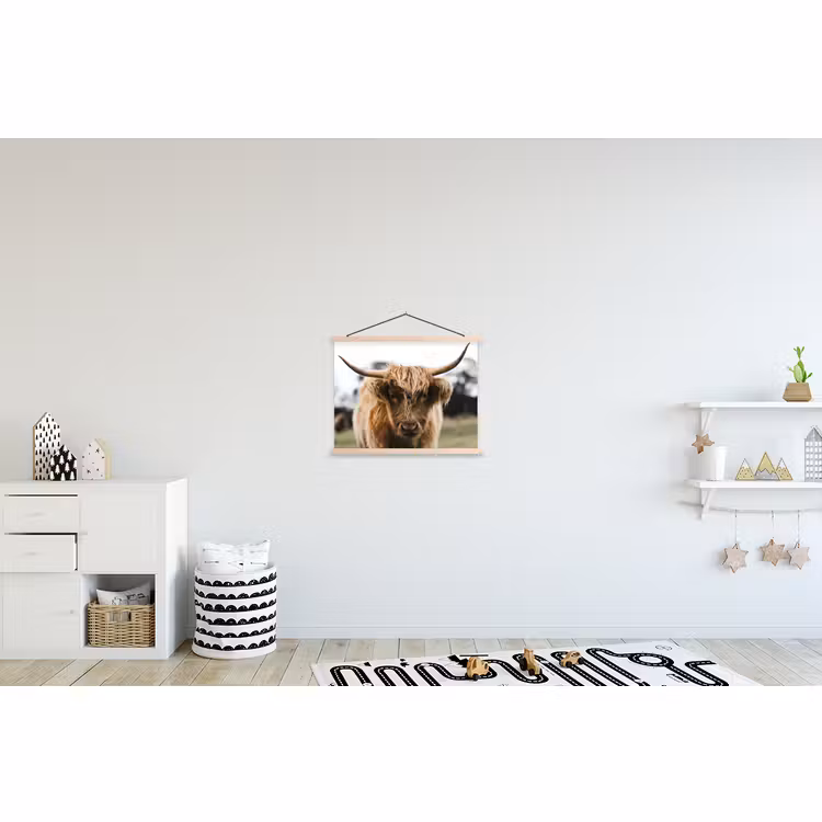 Schoolplaat - Schotse Hooglander - Koe - Gras - Dieren - Natuur — 3