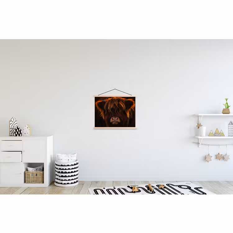 Schoolplaat - Schotse Hooglander - Koe - Portret - Dieren — 3