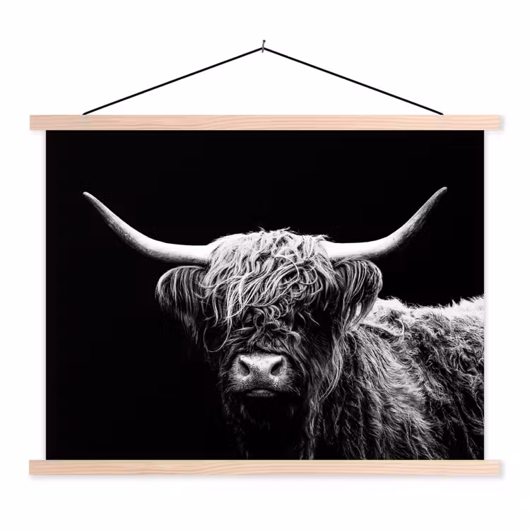 Schoolplaat - Schotse Hooglander - Koe - Zwart - Wit - Dieren — 1