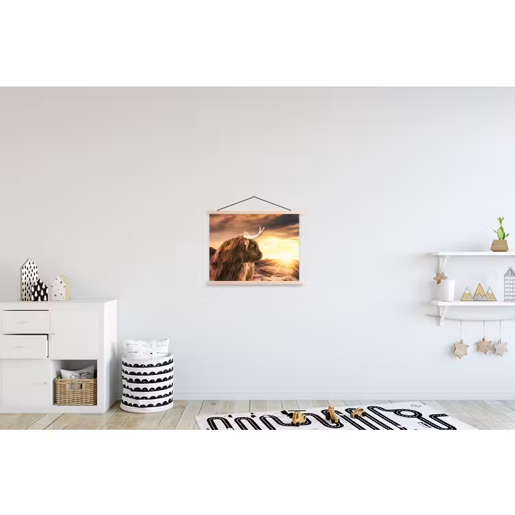 Schoolplaat - Schotse hooglander - Zon - Horizon - Koe - Dieren — 3