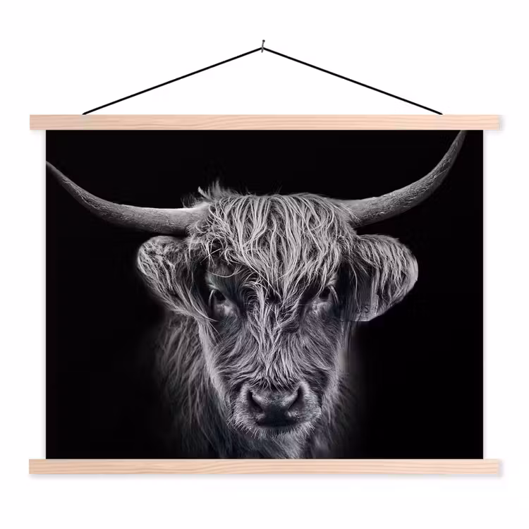 Schoolplaat - Schotse hooglander - Zwart - Koe - Dieren — 1
