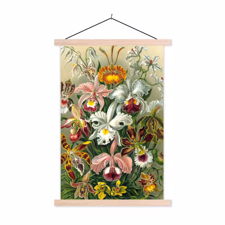 Schoolplaat - Planten - Natuur - Bloemen - Ernst Haeckel — 1
