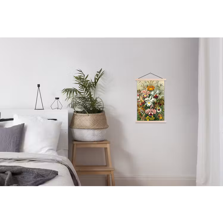 Schoolplaat - Planten - Natuur - Bloemen - Ernst Haeckel — 2