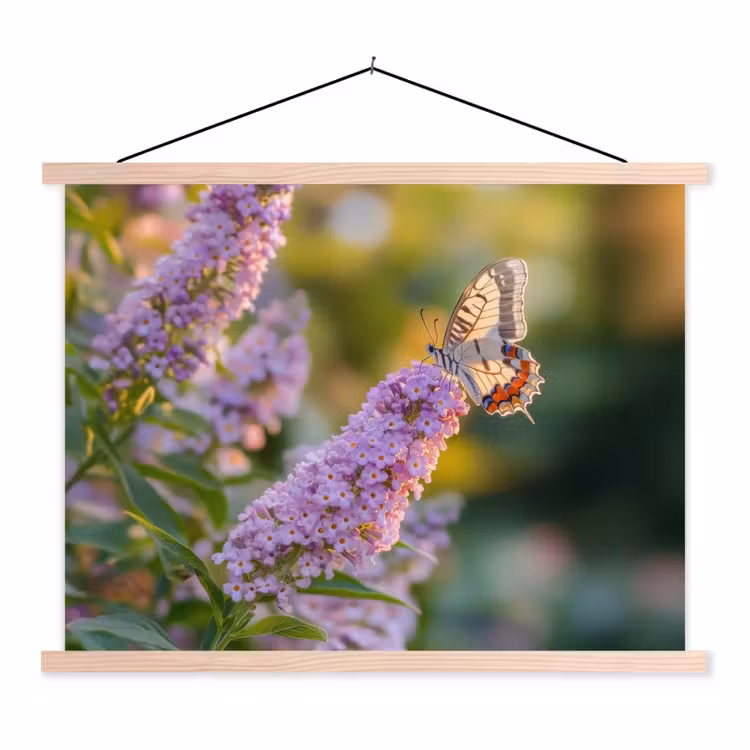 Schoolplaat - Sierlijke - Vlinder - Paarse - Bloemen — 1