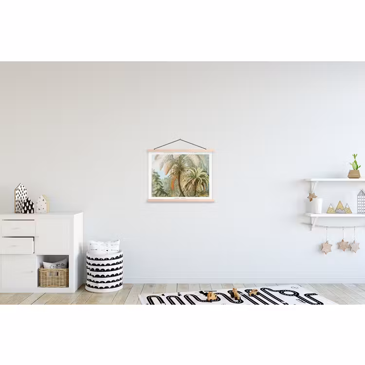 Schoolplaat - Vintage - Oude meesters - Varens - Planten - Natuur — 3