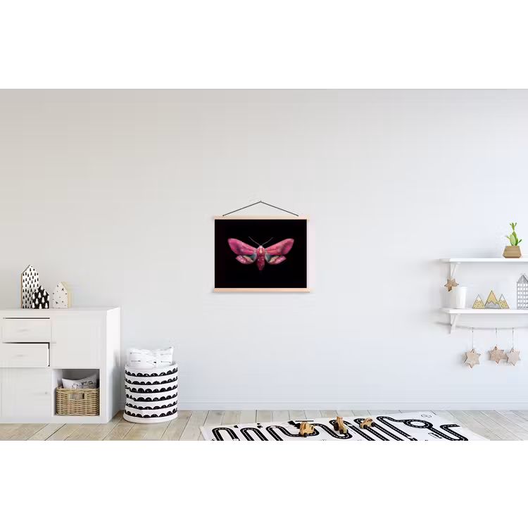 Schoolplaat - Vlinder - Roze - Nachtvlinder — 3