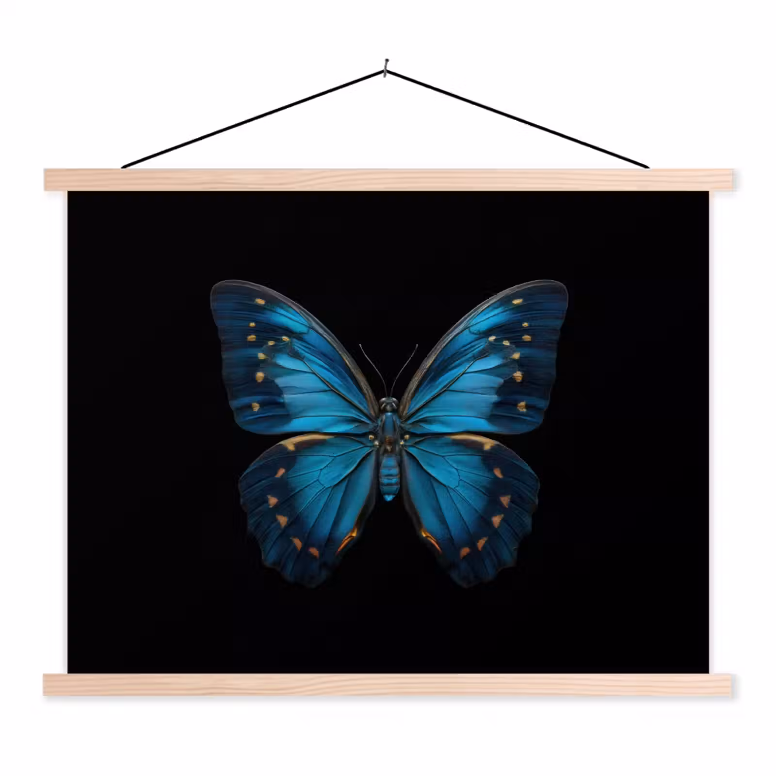 Schoolplaat - Vlinder - Blauw - Contrast — 1