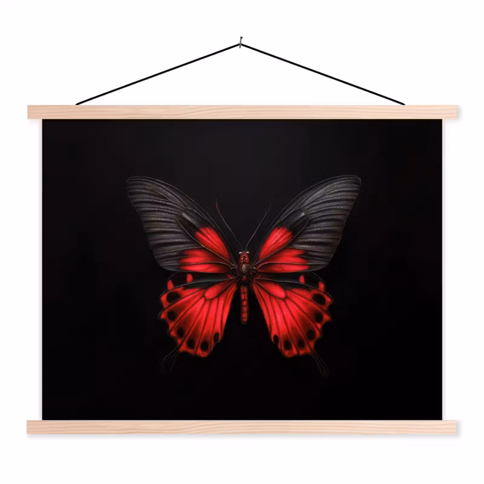 Schoolplaat - Vlinder - Rood - Contrast — 1
