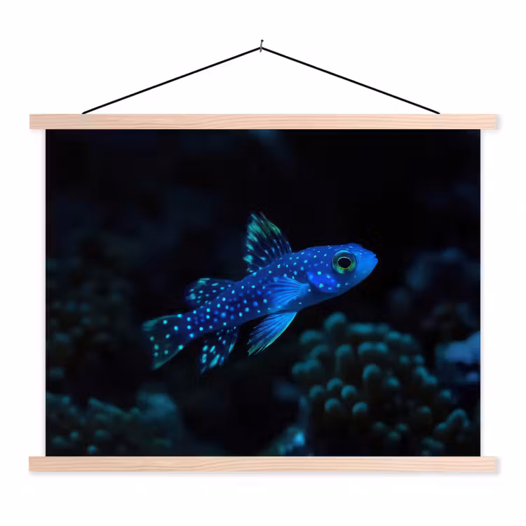 Schoolplaat - Vis - Stippen - Koraal - Blauw — 1