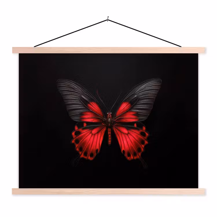 Schoolplaat - Vlinder - Rood - Contrast — 1