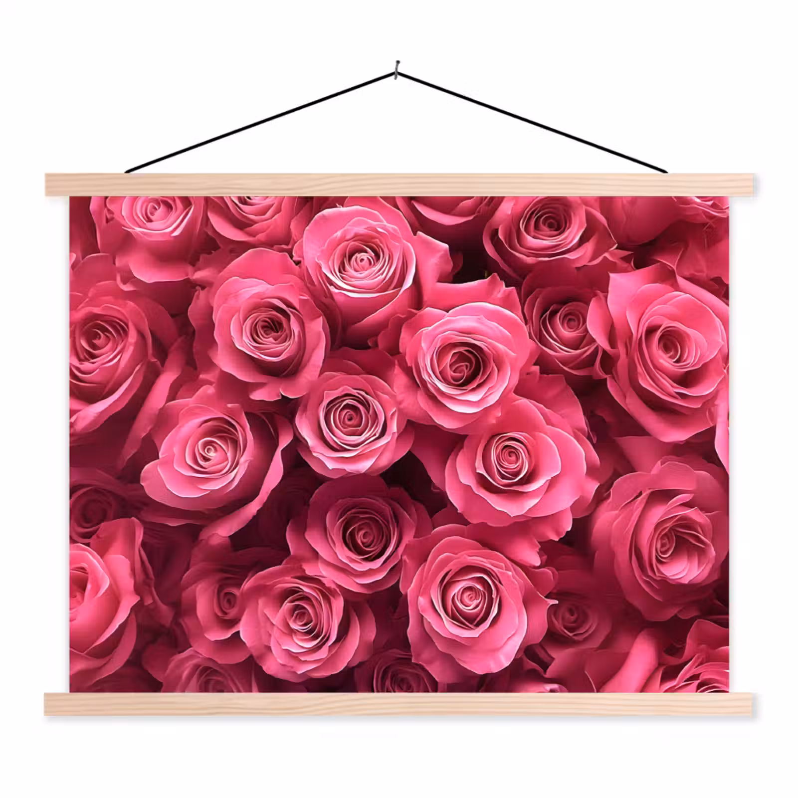 Schoolplaat - Rozen - Pink - Bloem — 1