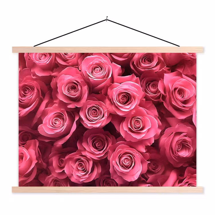 Schoolplaat - Rozen - Pink - Bloem — 1