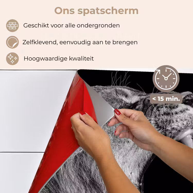 Spatscherm keuken - Dieren - Leeuw - Zwart - Wit - Portret — 4