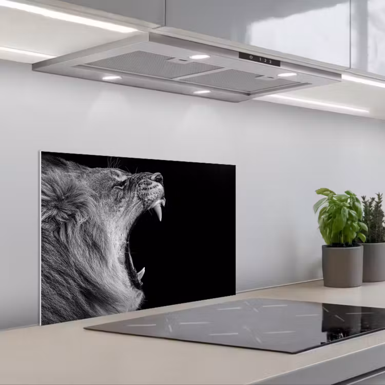 Spatscherm keuken - Dieren - Leeuw - Zwart - Wit - Portret — 5