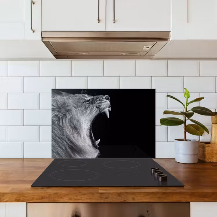 Spatscherm keuken - Dieren - Leeuw - Zwart - Wit - Portret — 6