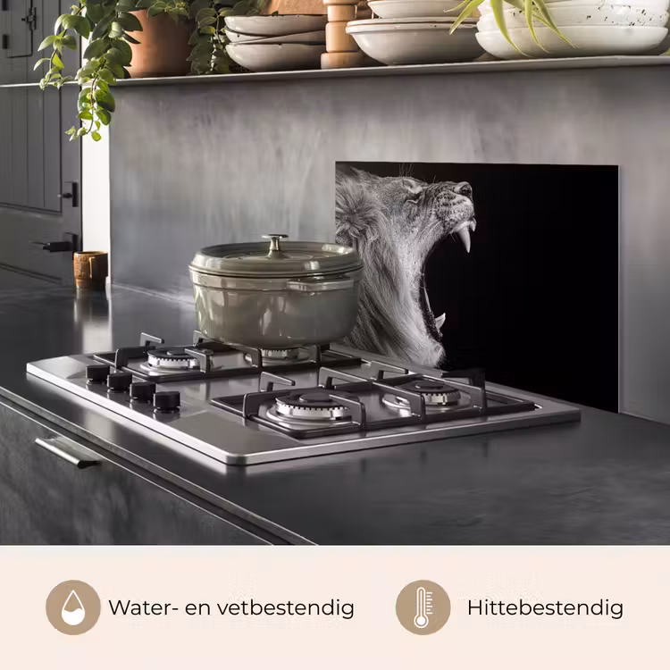 Spatscherm keuken - Dieren - Leeuw - Zwart - Wit - Portret — 7