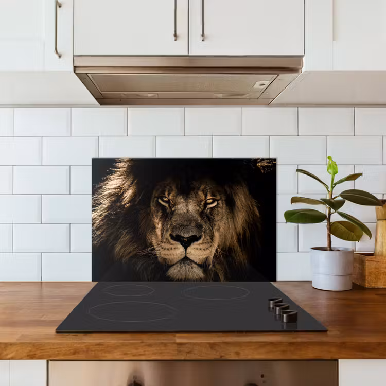 Spatscherm keuken - Leeuw - Dieren - Zwart - Portret — 6