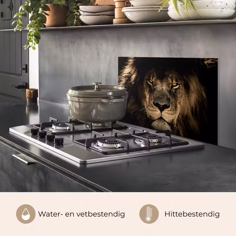 Spatscherm keuken - Leeuw - Dieren - Zwart - Portret — 7