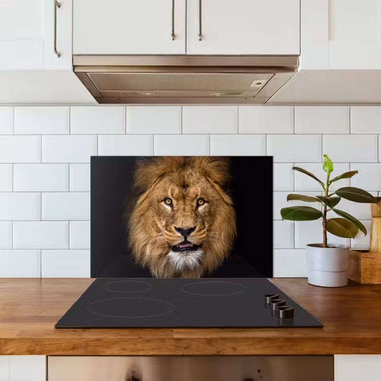 Spatscherm keuken - Leeuw - Portret - Zwart - Dieren — 6