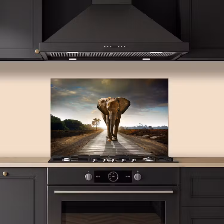 Spatscherm keuken - Olifant - Weg - Dieren - Zonsondergang - Landschap — 2