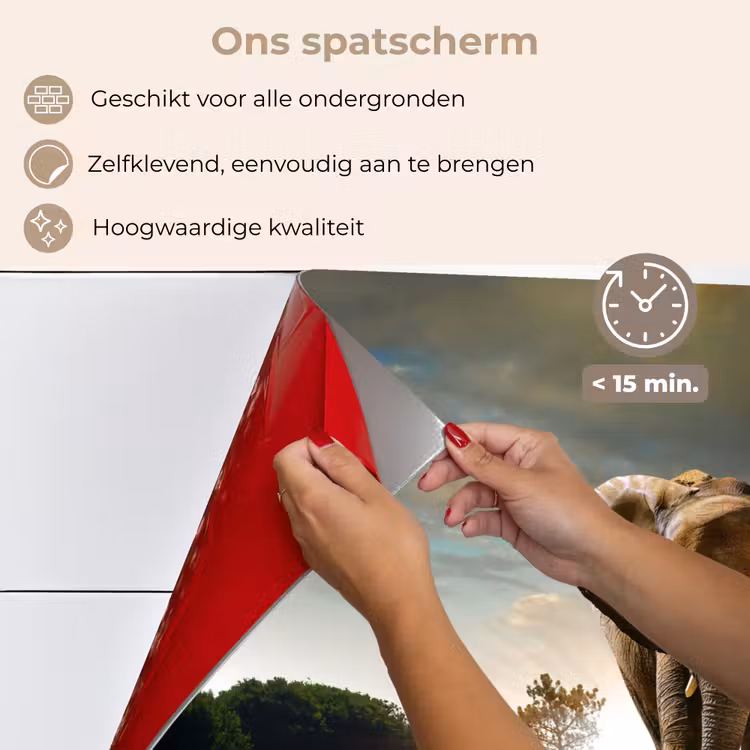 Spatscherm keuken - Olifant - Weg - Dieren - Zonsondergang - Landschap — 4