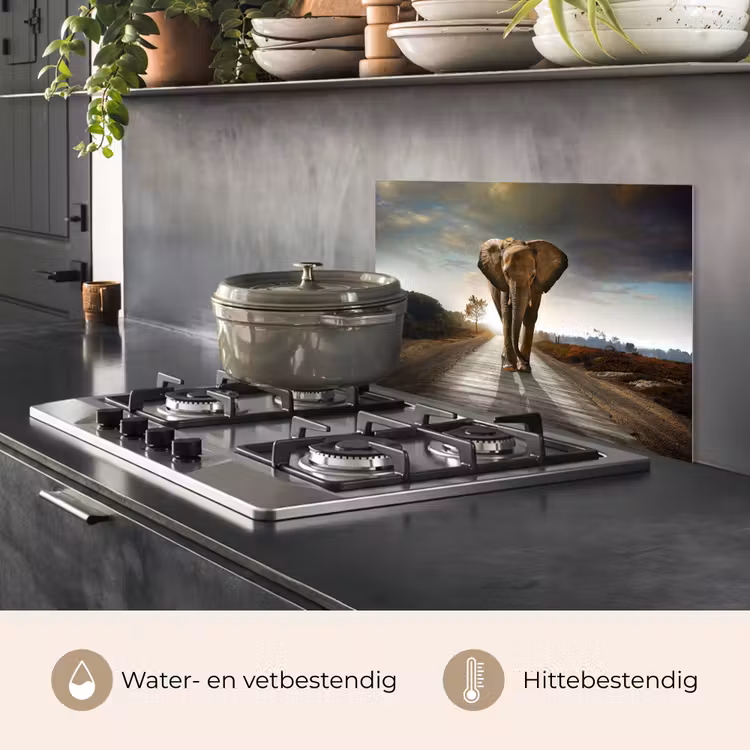 Spatscherm keuken - Olifant - Weg - Dieren - Zonsondergang - Landschap — 7