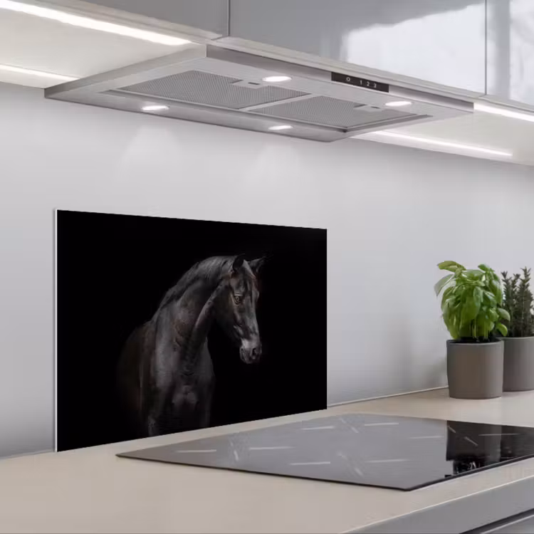 Spatscherm keuken - Paard - Dieren - Zwart - Portret — 5