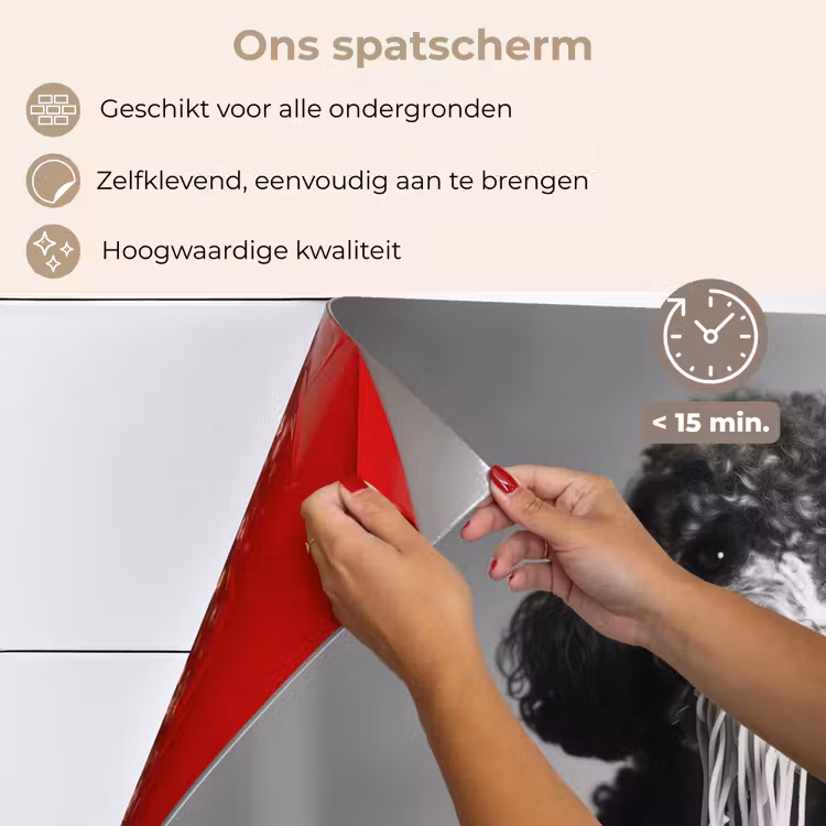 Spatscherm keuken - Poedel - Hond - Zwart - Wit - Schattig - Pasta — 4