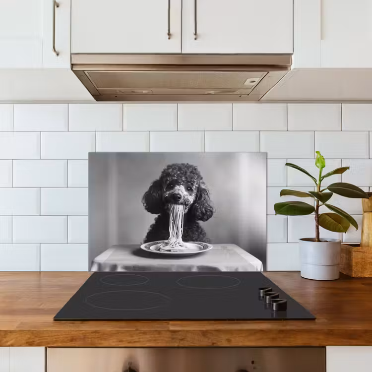 Spatscherm keuken - Poedel - Hond - Zwart - Wit - Schattig - Pasta — 6