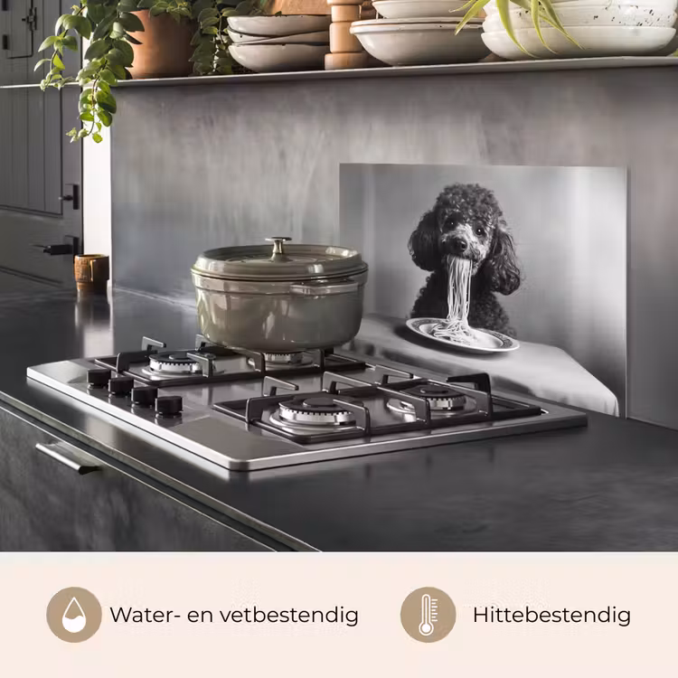 Spatscherm keuken - Poedel - Hond - Zwart - Wit - Schattig - Pasta — 7