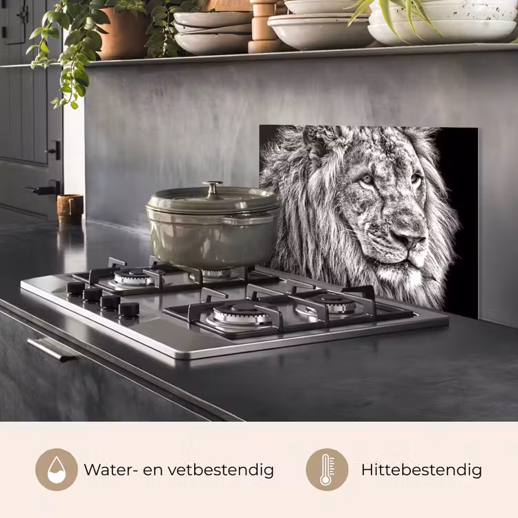 Spatscherm keuken - Portret - Leeuw - Zwart wit — 7