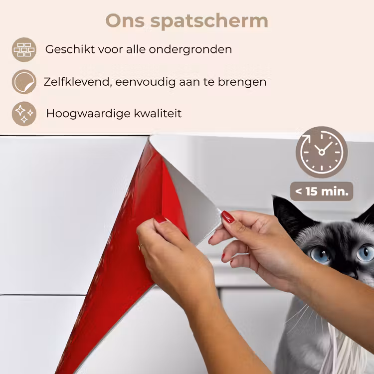 Spatscherm keuken - Kat - Siamees - Zwart Wit - Schattig - Dieren — 4
