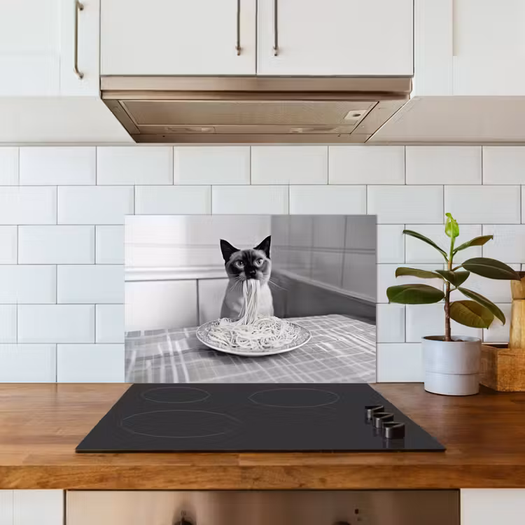 Spatscherm keuken - Kat - Siamees - Zwart Wit - Schattig - Dieren — 6