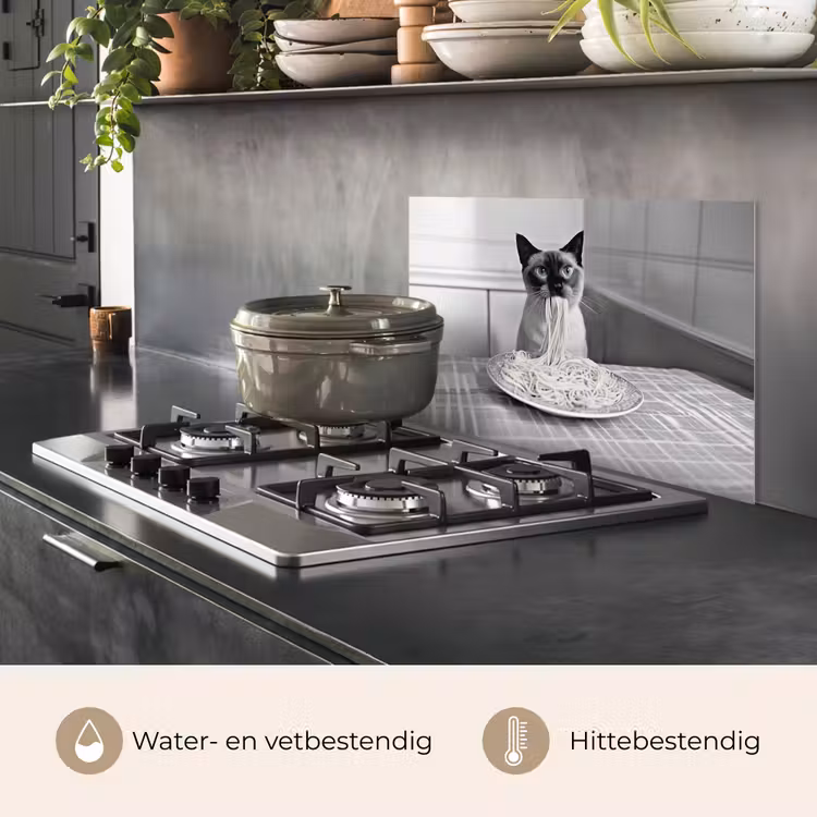 Spatscherm keuken - Kat - Siamees - Zwart Wit - Schattig - Dieren — 7