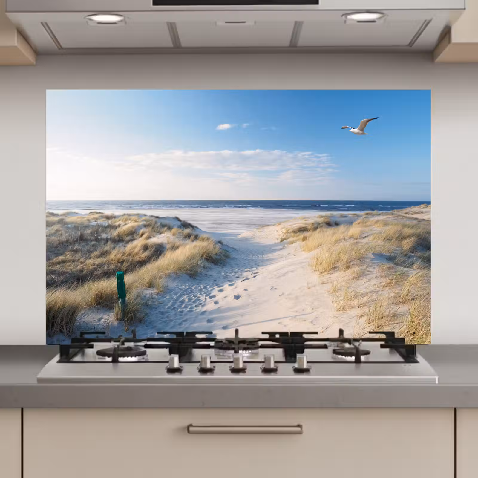 Spatscherm keuken - Duin - Meeuw - Strand - Zee - Zon — 1