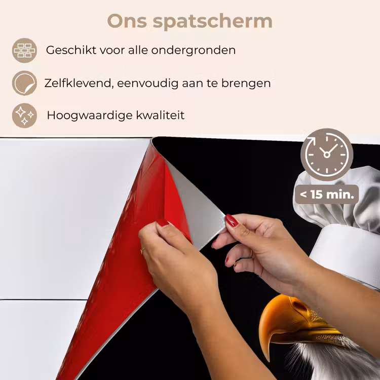 Spatscherm keuken - Arend -Amerika - Koksmuts - Vogel - Stoer — 4