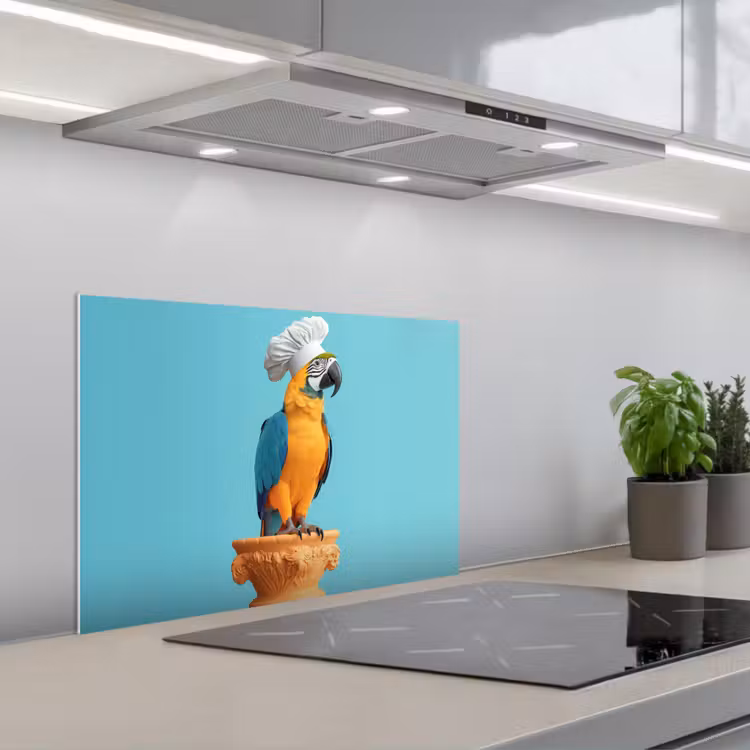 Spatscherm keuken - Papegaai - Koksmuts - Grappig - Vogel — 5