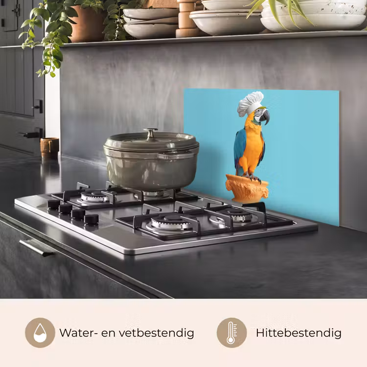 Spatscherm keuken - Papegaai - Koksmuts - Grappig - Vogel — 7